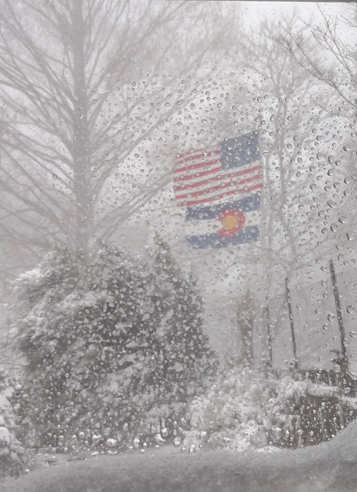 flags in the snow